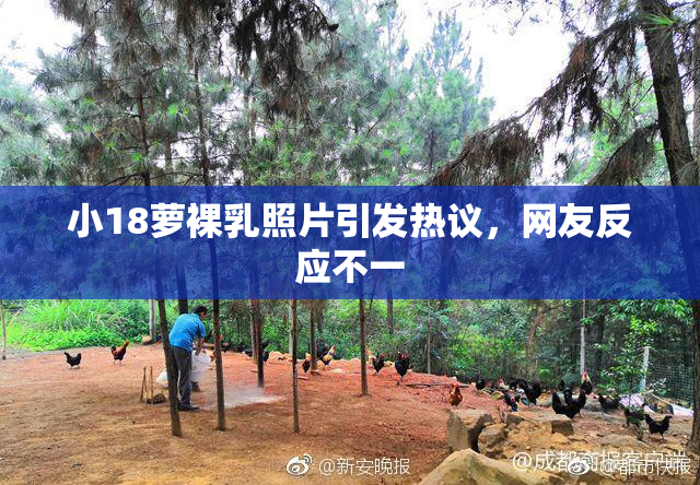 小18萝裸乳照片引发热议，网友反应不一