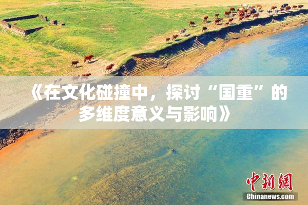 《在文化碰撞中，探讨“国重”的多维度意义与影响》