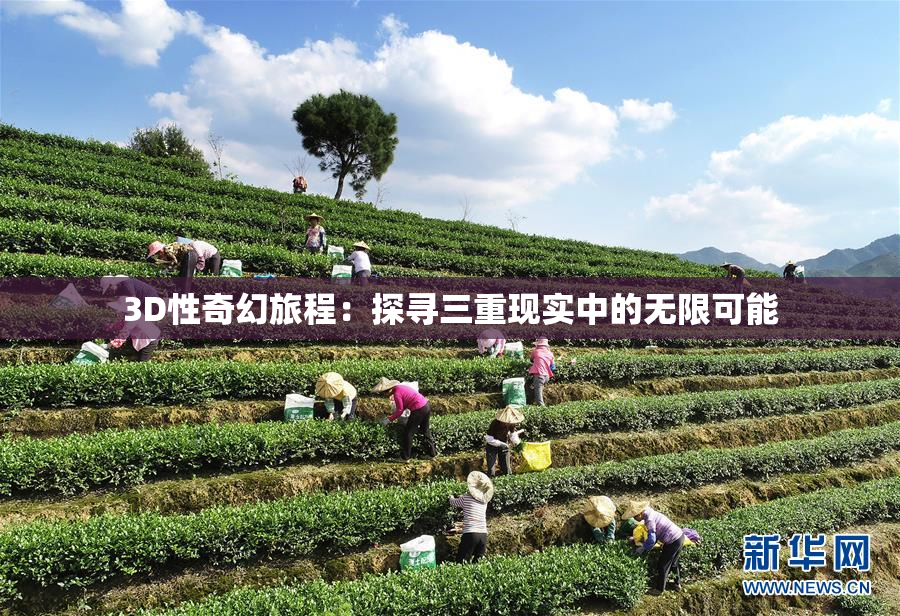 3D性奇幻旅程：探寻三重现实中的无限可能