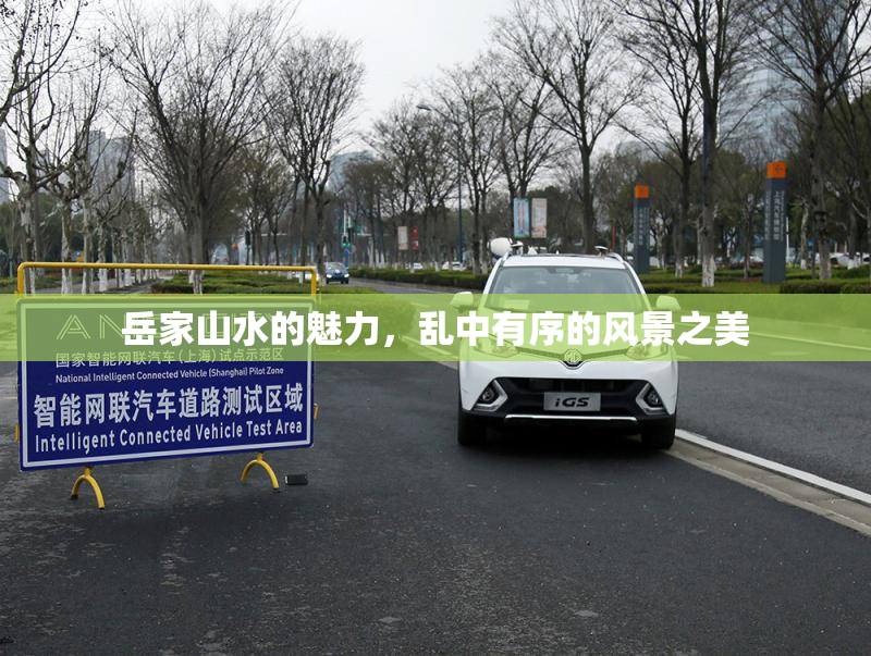 岳家山水的魅力，乱中有序的风景之美