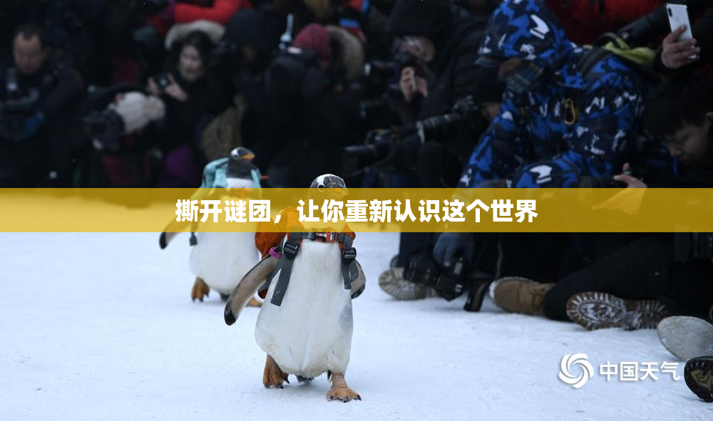 撕开谜团，让你重新认识这个世界