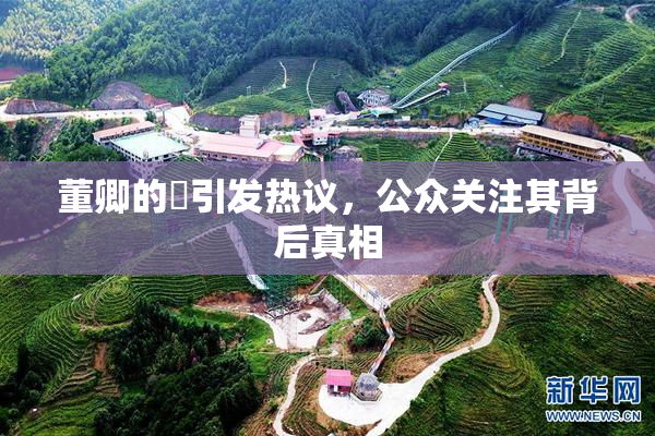 董卿的婬引发热议，公众关注其背后真相