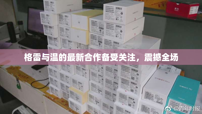 格雷与温的最新合作备受关注，震撼全场