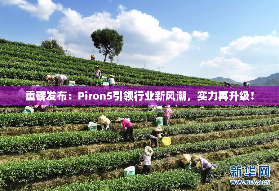 重磅发布：Piron5引领行业新风潮，实力再升级！