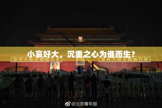 小哀好大，沉重之心为谁而生？