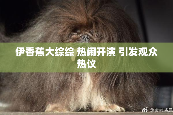 伊香蕉大综综 热闹开演 引发观众热议
