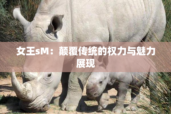 女王sM：颠覆传统的权力与魅力展现