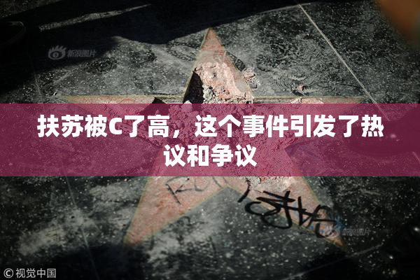 扶苏被C了高，这个事件引发了热议和争议