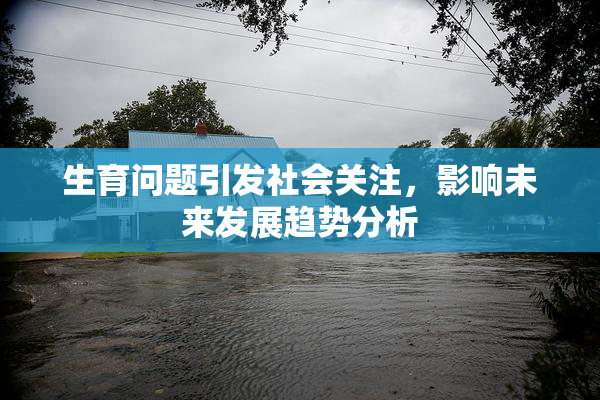 生育问题引发社会关注，影响未来发展趋势分析