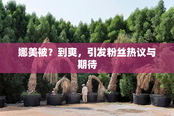 娜美被？到爽，引发粉丝热议与期待
