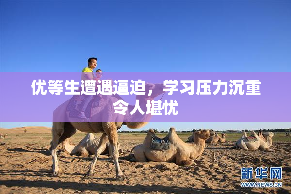 优等生遭遇逼迫，学习压力沉重令人堪忧