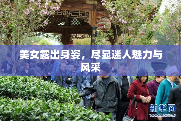 美女露出身姿，尽显迷人魅力与风采
