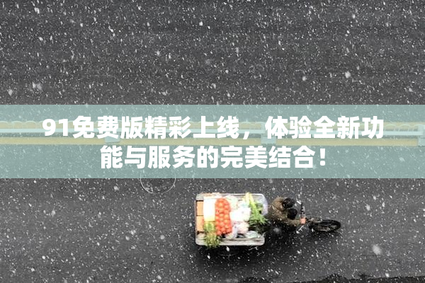91免费版精彩上线，体验全新功能与服务的完美结合！