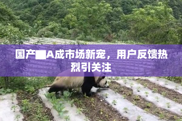 国产▇A成市场新宠，用户反馈热烈引关注