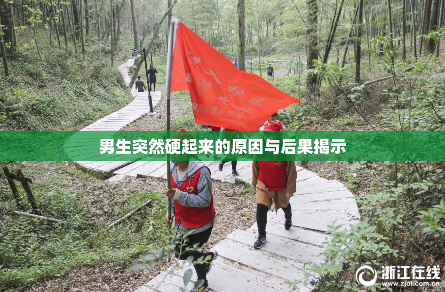 男生突然硬起来的原因与后果揭示