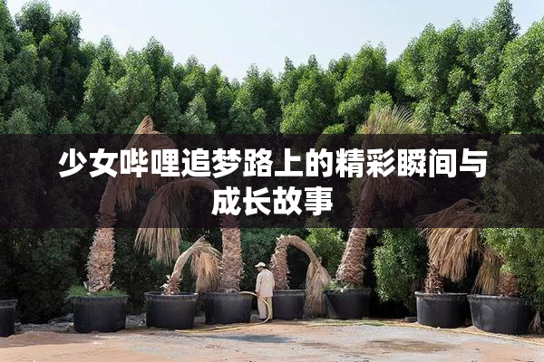 少女哔哩追梦路上的精彩瞬间与成长故事