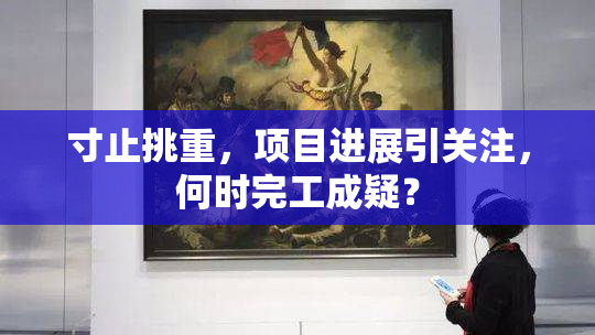 寸止挑重，项目进展引关注，何时完工成疑？