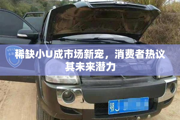 稀缺小U成市场新宠，消费者热议其未来潜力