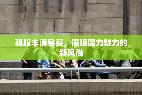 驯服丰满身姿，展现魔力魅力的新风尚