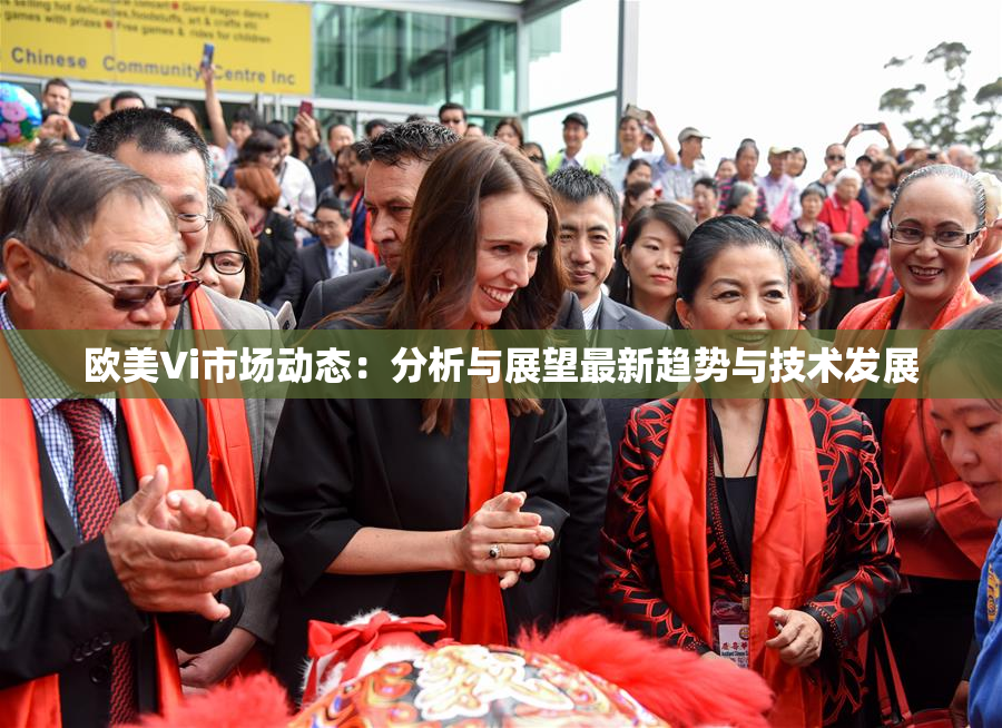 欧美Vi市场动态：分析与展望最新趋势与技术发展