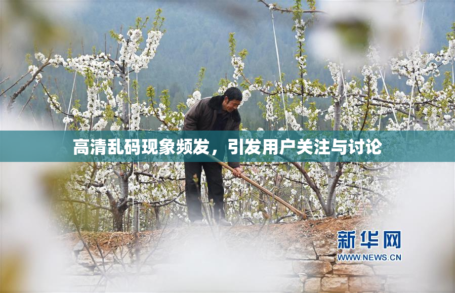 高清乱码现象频发，引发用户关注与讨论