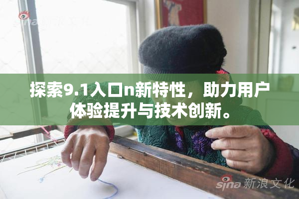 探索9.1入口n新特性，助力用户体验提升与技术创新。