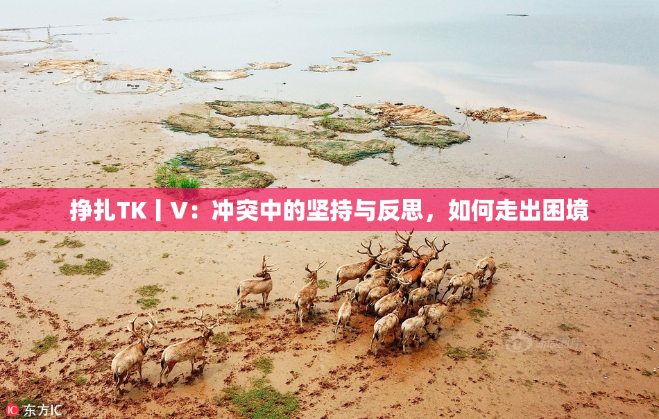 挣扎TK丨V：冲突中的坚持与反思，如何走出困境