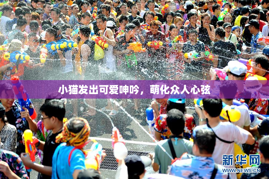 小猫发出可爱呻吟，萌化众人心弦