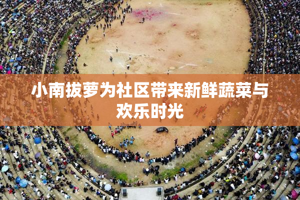 小南拔萝为社区带来新鲜蔬菜与欢乐时光