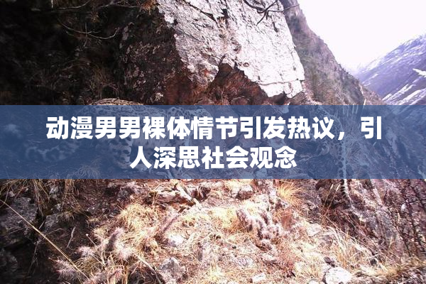 动漫男男裸体情节引发热议，引人深思社会观念