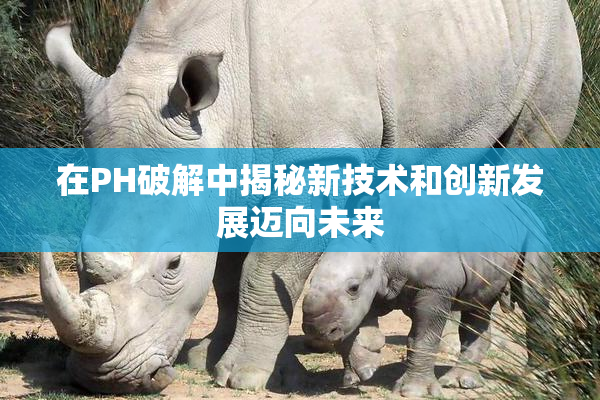 在PH破解中揭秘新技术和创新发展迈向未来