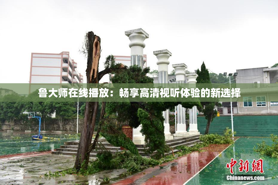 鲁大师在线播放：畅享高清视听体验的新选择