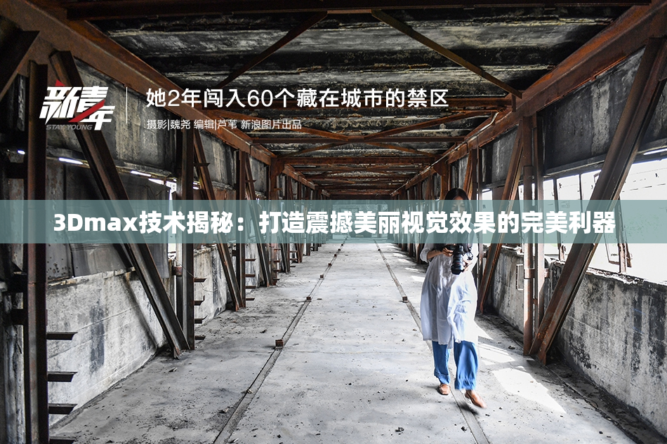 3Dmax技术揭秘：打造震撼美丽视觉效果的完美利器