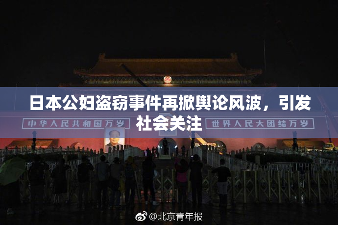 日本公妇盗窃事件再掀舆论风波，引发社会关注