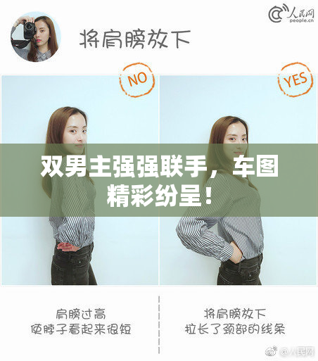 双男主强强联手，车图精彩纷呈！