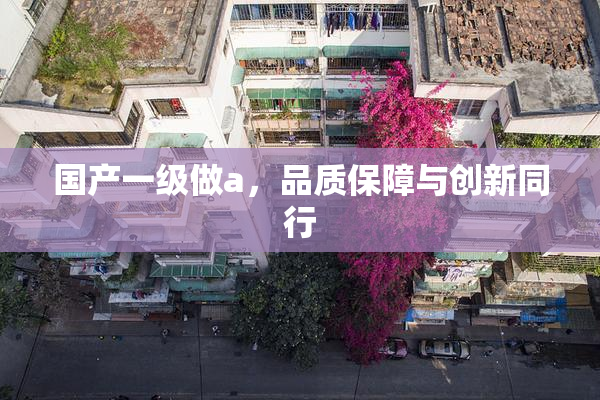 国产一级做a，品质保障与创新同行