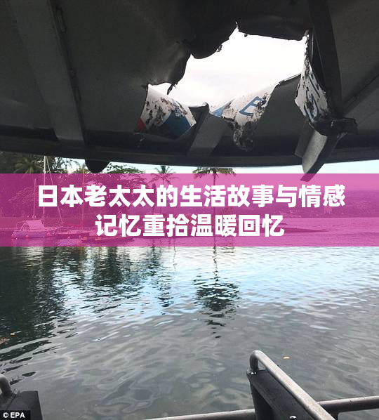 日本老太太的生活故事与情感记忆重拾温暖回忆