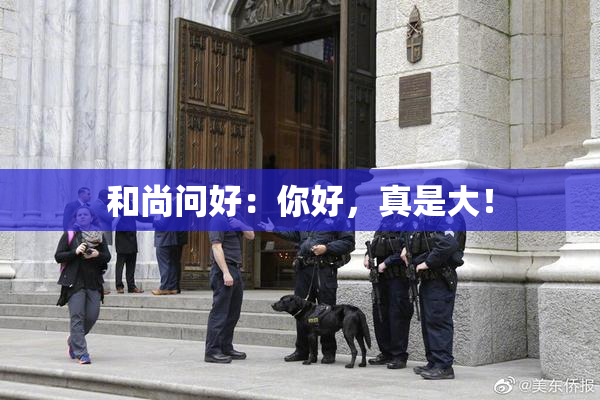 和尚问好：你好，真是大！