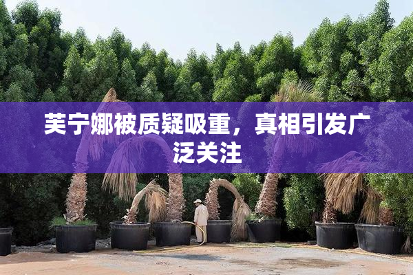 芙宁娜被质疑吸重，真相引发广泛关注