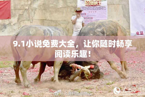 9.1小说免费大全，让你随时畅享阅读乐趣！