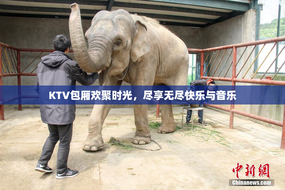 KTV包厢欢聚时光，尽享无尽快乐与音乐