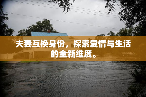 夫妻互换身份，探索爱情与生活的全新维度。