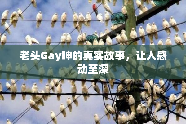老头Gay呻的真实故事，让人感动至深