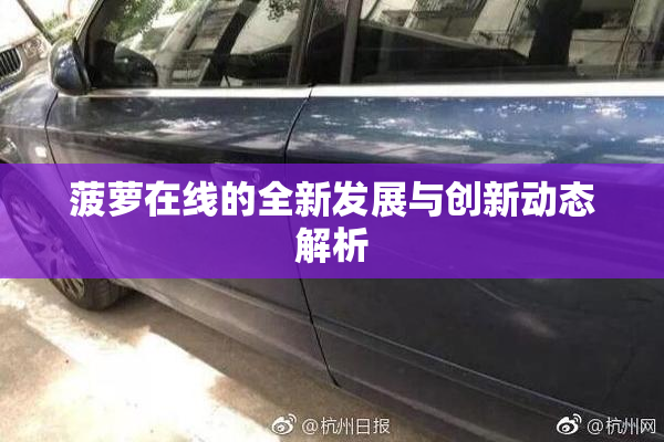 菠萝在线的全新发展与创新动态解析