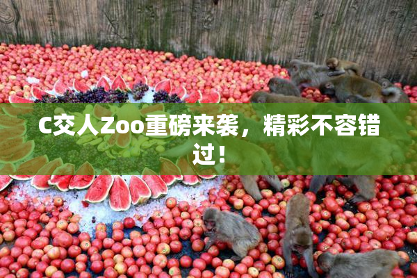C交人Zoo重磅来袭，精彩不容错过！