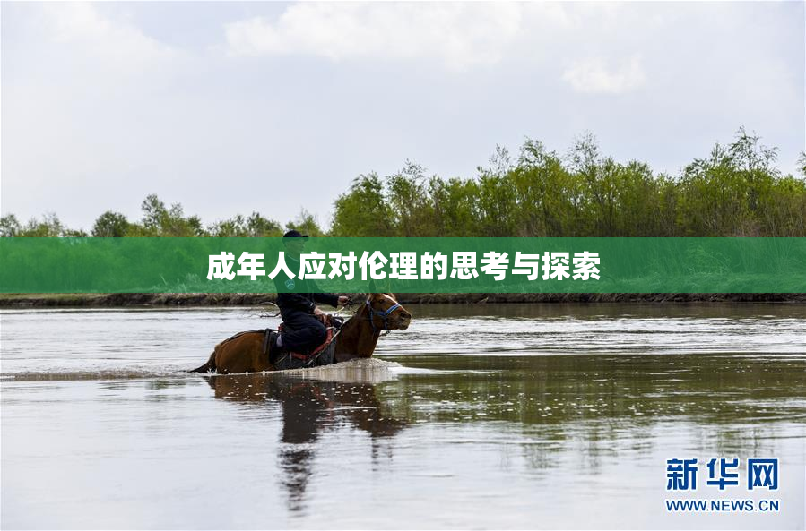 成年人应对伦理的思考与探索