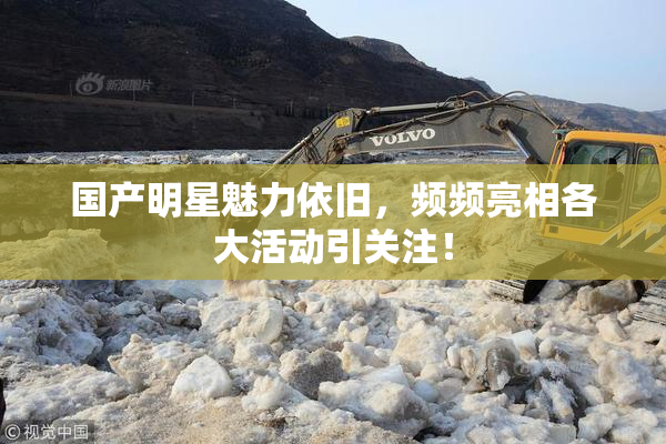 国产明星魅力依旧，频频亮相各大活动引关注！
