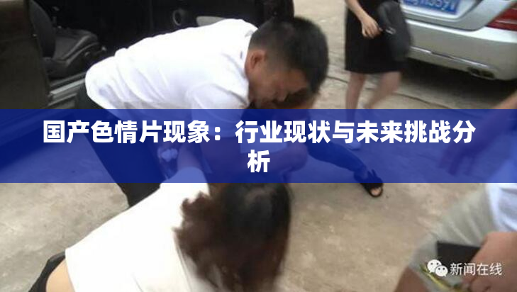 国产色情片现象：行业现状与未来挑战分析