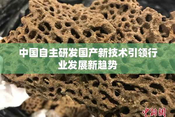 中国自主研发国产新技术引领行业发展新趋势