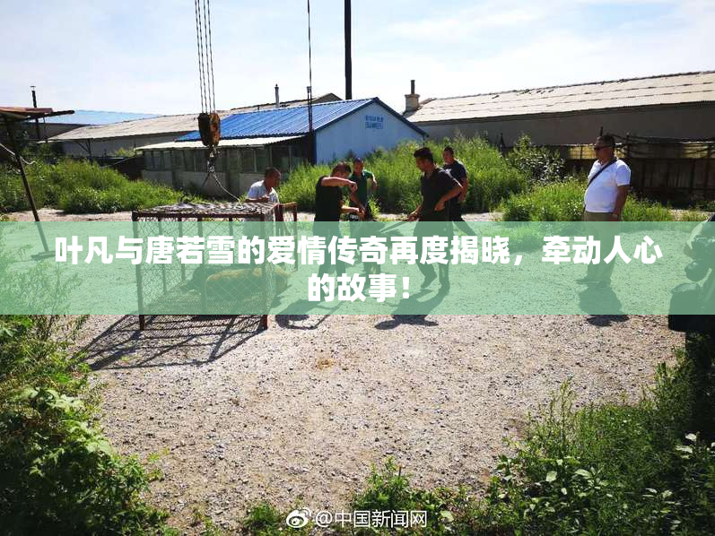 叶凡与唐若雪的爱情传奇再度揭晓，牵动人心的故事！